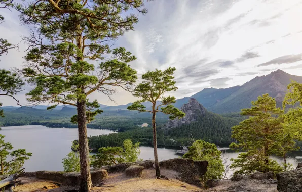 Picture trees, mountains, lake, pine, Kazakhstan, Borovoe lake, The Kokshetau height