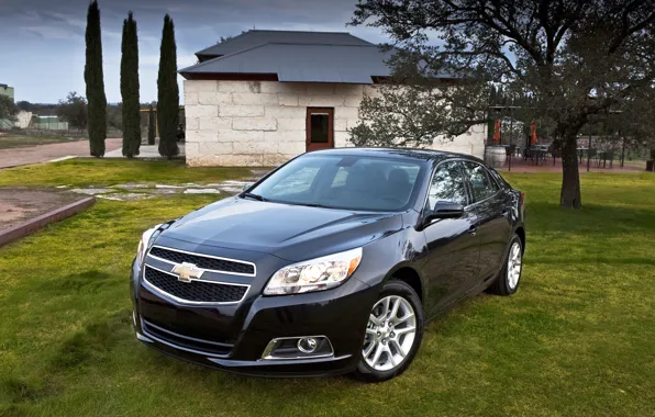 Black, Chevrolet, car, Malibu