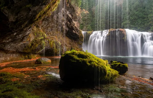 River, stones, moss, waterfalls, Lower Lewis River Falls, Lewis River, Gifford Pinchot National Forest, Washington …