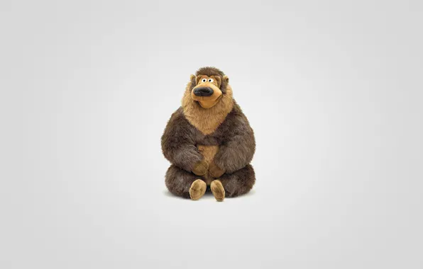 Picture animal, toy, bear, sitting, light background, bear
