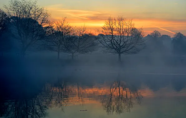 The sky, clouds, trees, sunset, fog, lake, reflection, river