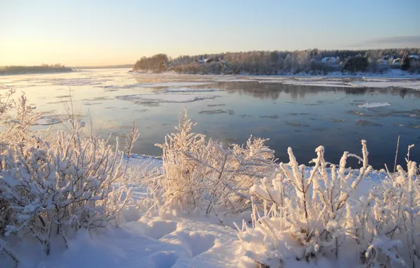 Picture winter, the sky, snow, trees, river, the bushes