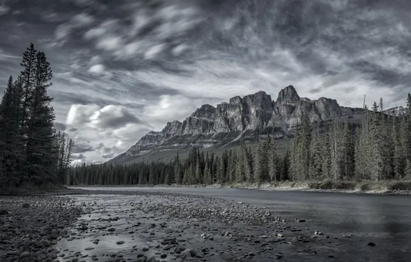 Forest, mountains, river
