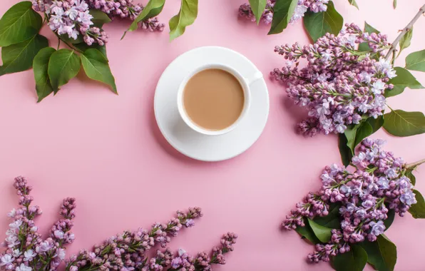 Flowers, pink, flowers, lilac, coffee cup, lilac, a Cup of coffee