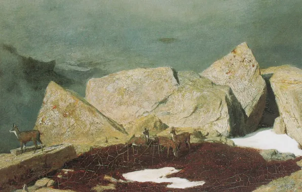Rocks, Symbolism, Arnold Böcklin, Alpine chamois array, 1850
