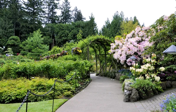 Trees, flowers, garden, Canada, track, the bushes, Butchart Gardens