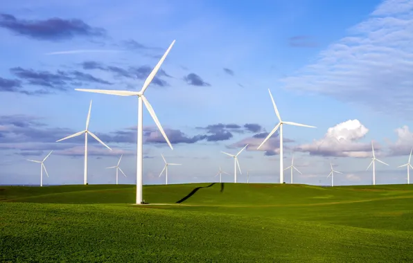 Field, summer, windmills