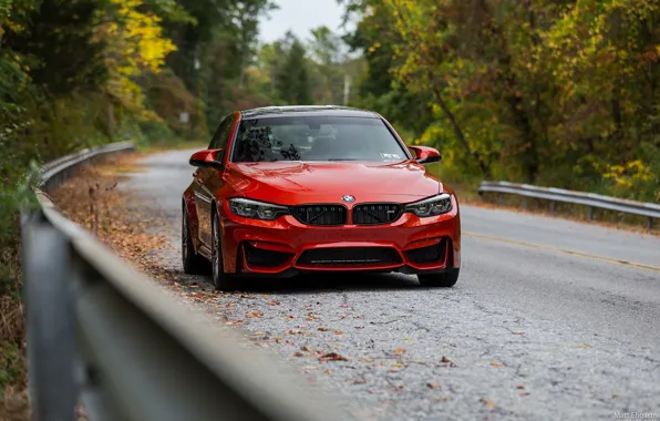 BMW, Autumn, Road, RED, Forest, F80