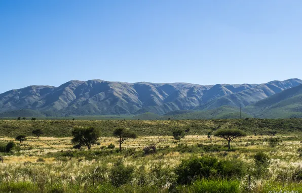 Field, Argentina, mountains, valley, sunny, Cordoba, Punilla, Cerro Uritorco