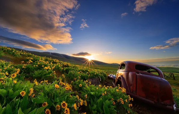 Machine, flowers, sunrise, dawn, hills, morning, meadow, car