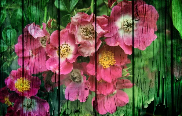 Flowers, style, background, Board