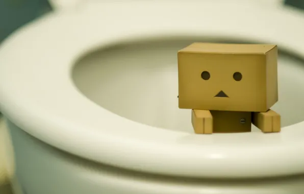 Picture box, toilet, danbo, the toilet, figure, need