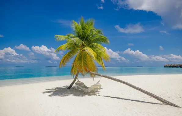 Sea, beach, landscape, Palma, stay, hammock