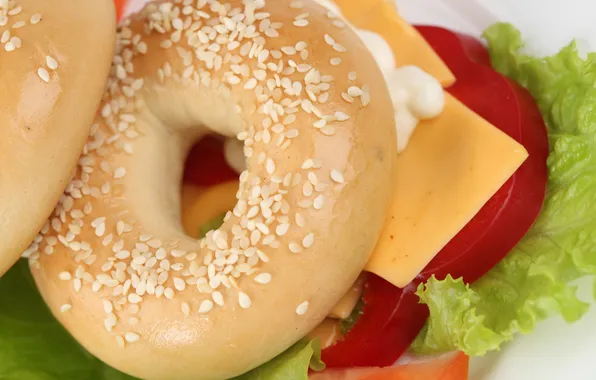Picture seeds, cheese, pepper, sesame, bagel