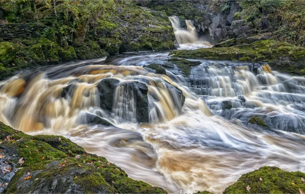 Picture stones, England, cascade, England, North Yorkshire, North Yorkshire, Ingleton Waterfalls Trail, Ingleton