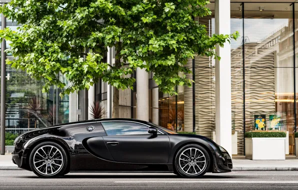 Black, Veyron, Bugatti Veyron, hypercar