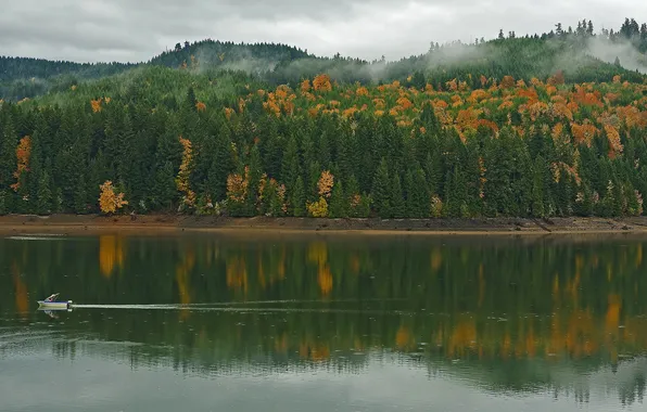 Autumn, forest, clouds, mountains, fog, lake, reflection, shore