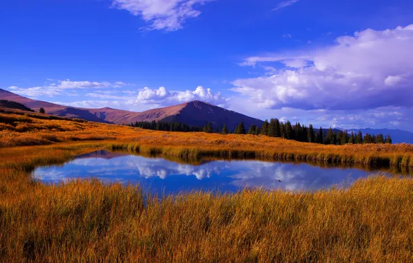 Forest, clouds, mountains, lake, reflection, blue, the slopes, pond