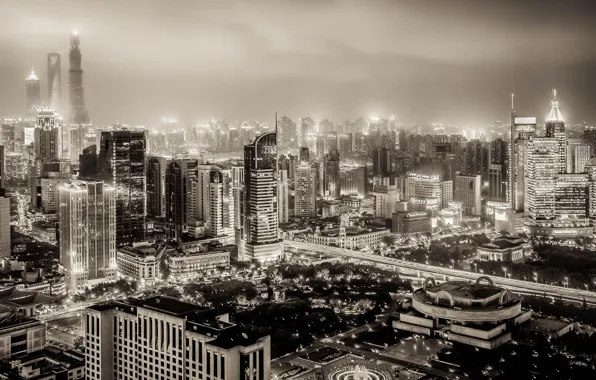 China, building, black and white, panorama, China, Shanghai, Shanghai, night city