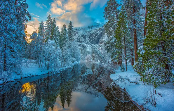 Winter, forest, snow, trees, mountains, reflection, river, CA