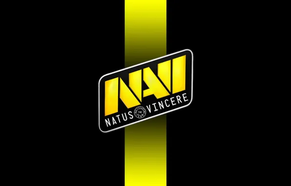 Picture dota, na'vi, dota 2, natus vincere