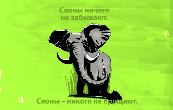 Elephant, large, lumpy, the beauty of the mass, slonime