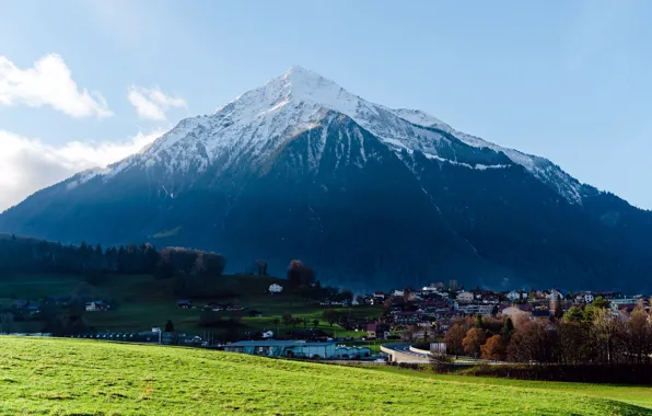 Picture Meadows, Home, Switzerland, Summer, Switzerland, Spiez, Spitz, Snowy mountain