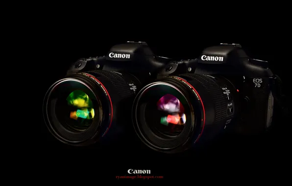 Picture Wallpaper, black background, Canon, EF 100mm F2.8L macro Hybrid IS, EOS 7D, two cameras