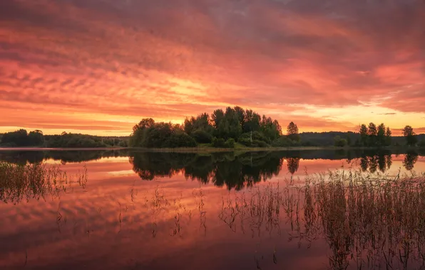 Picture landscape, Karelia, dawn on Kolodozer