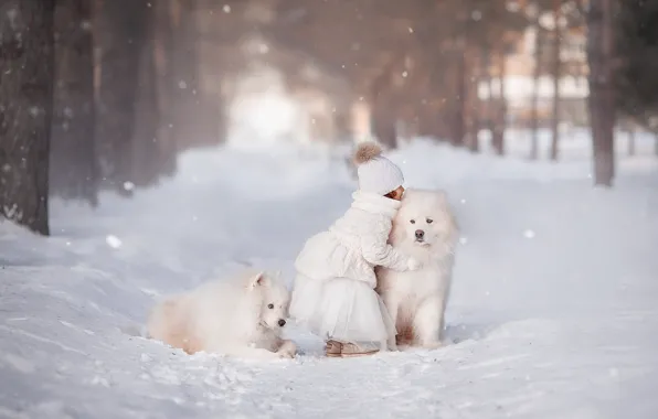 Winter, road, forest, dogs, snow, trees, Park, mood