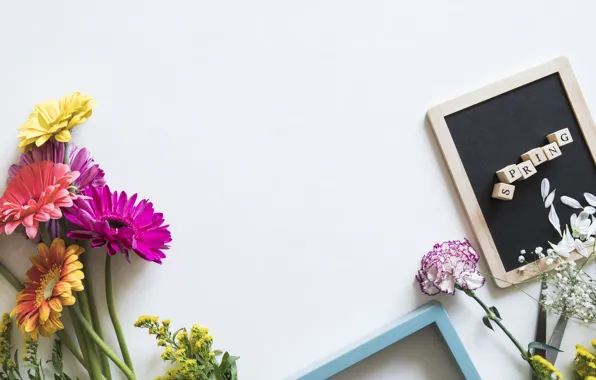 Flowers, frame, Board, gerbera, clove