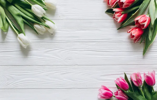Picture background, Flowers, bouquet, spring, tulips