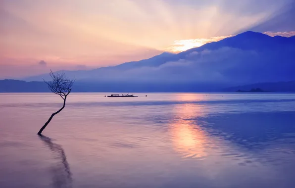 Trees, mountains, lake, boat, ship