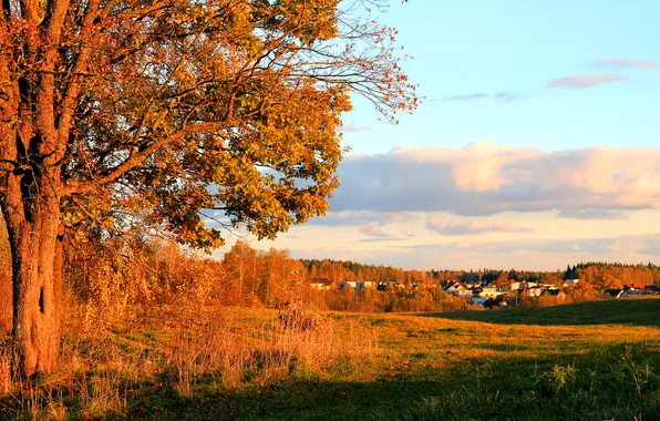 Picture autumn, the sky, clouds, trees, home, town, the village