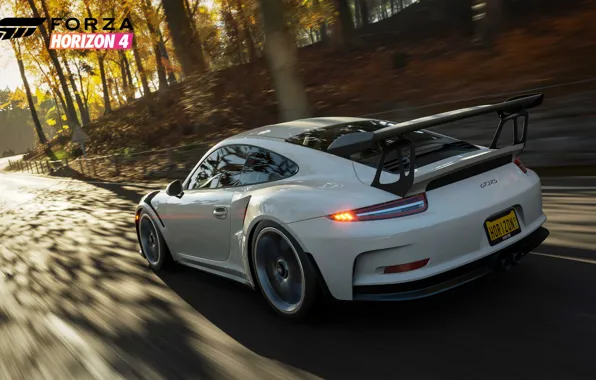 Picture 911, Porsche, Microsoft, game, 2018, GT3 RS, Forza Horizon 4