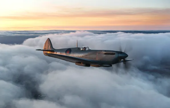 Picture The sky, Clouds, Fighter, Spitfire, RAF, The Second World War, Supermarine Seafire, Spitfire PR.Mk XI