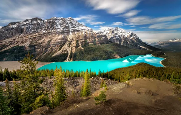 Forest, the sky, clouds, trees, mountains, lake, canada, alberta