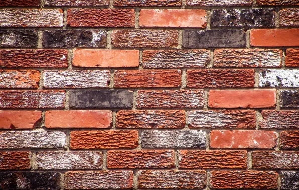 Background, wall, bricks
