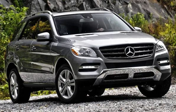 Grey, jeep, gravel, mercedes-benz, Mercedes, the bushes, the front, 350