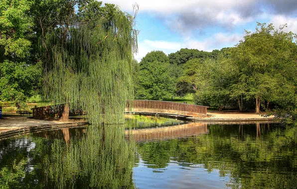 Water, trees, bridge, pond, Park, reflection