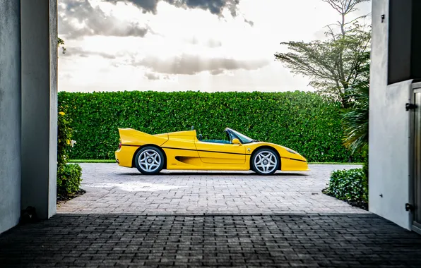 Ferrari, sports car, convertible, 1995, F50, Ferrari F50