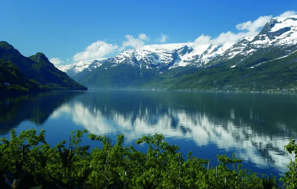 Picture forest, mountains, nature, the fjord, Hardagerfjord