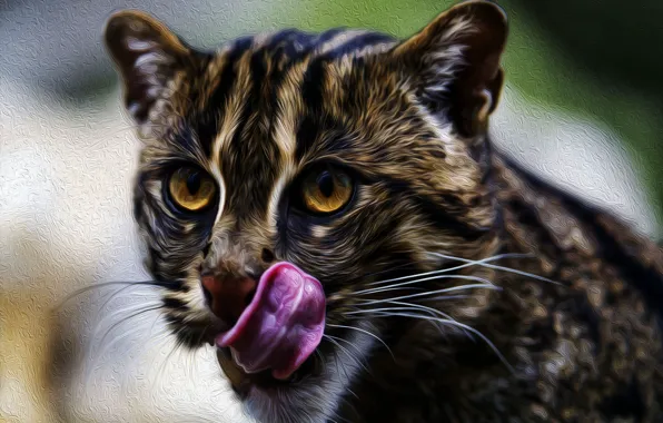 Language, wild, Cat-fisherman