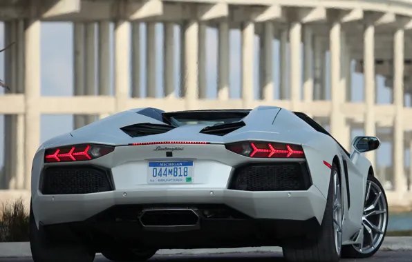 White, roadster, back, LP700-4, Lamborghini, aventador, Lamborghini Aventador