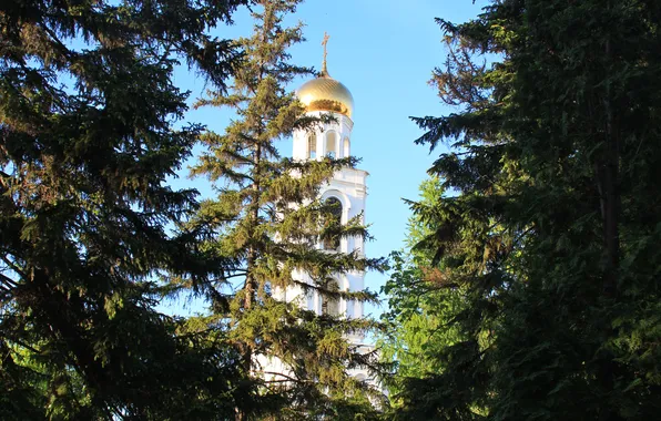 Picture the sky, the city, spring, Russia, architecture, Samara, coniferous trees, Stan