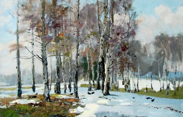 Picture nature, spring, birch