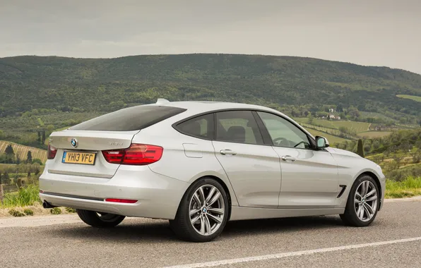 BMW, coupe, BMW, car, Gran Turismo, Sport Line, 318d