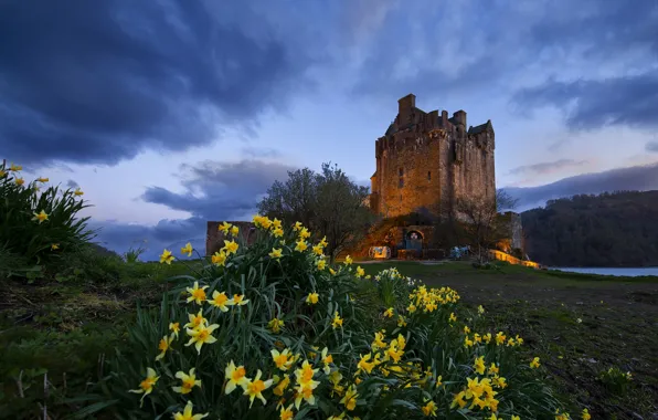 The sky, flowers, castle, Scotland, daffodils, Scotland, Eilean Donan Castle, The Eilean Donan Castle