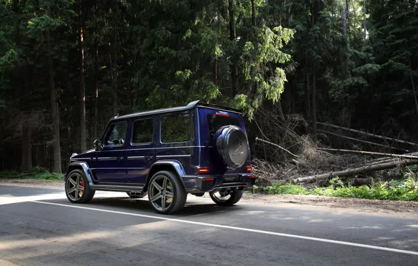 Mercedes-Benz, Mercedes, Nature, Inferno, Side, Road, Ball Wed, G-Class