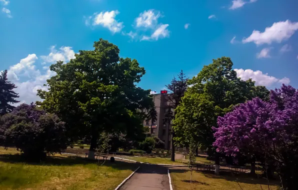 The city, Park, spring, lilac